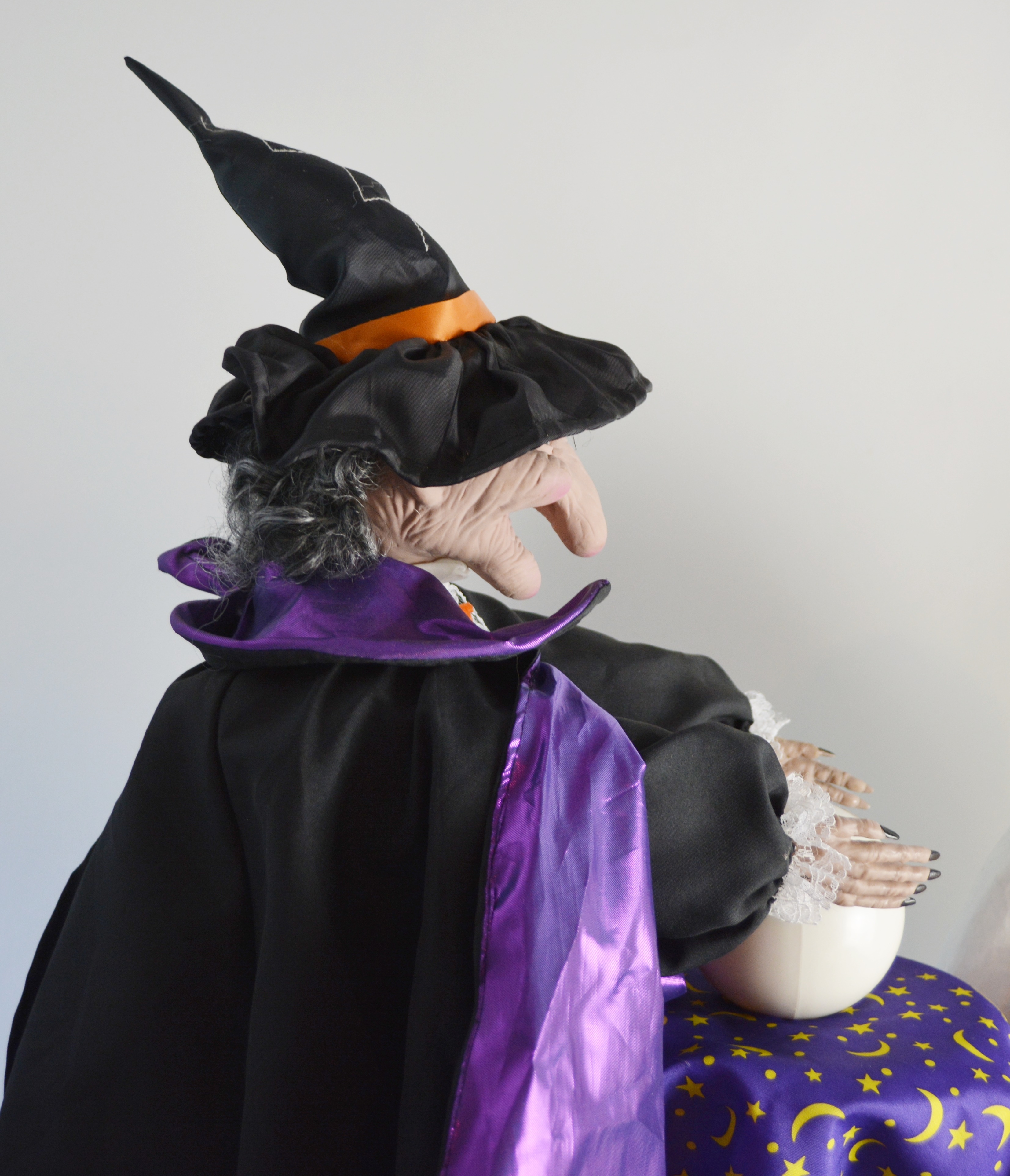 Halloween Decorations Motionette Fortune Teller, Skeleton Hands and Others