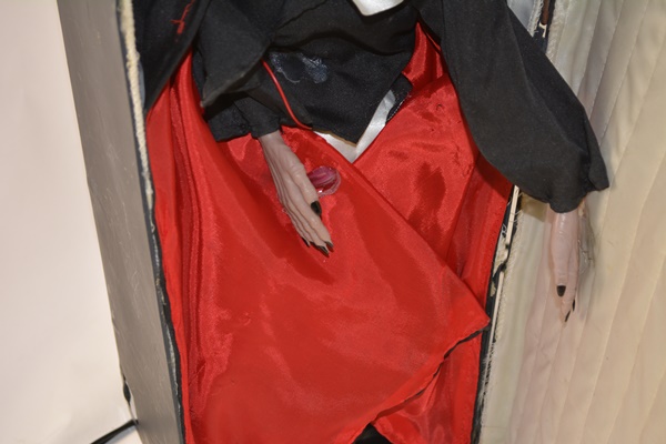 Halloween Decorations Vampire Coffin and Motionette Illuminated Witch