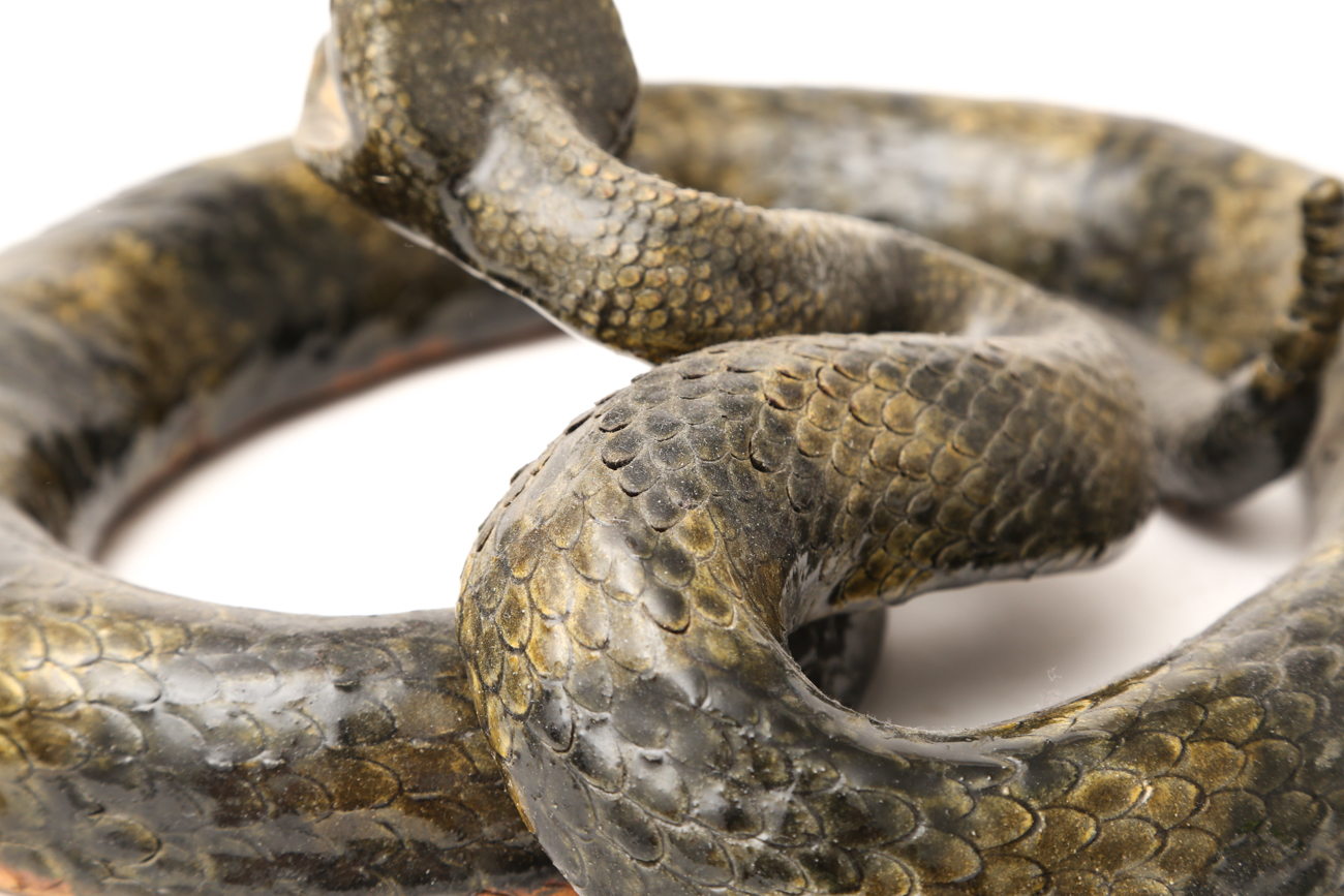 Michael + Melvin Crocker Detailed Clay Snake Sculpture