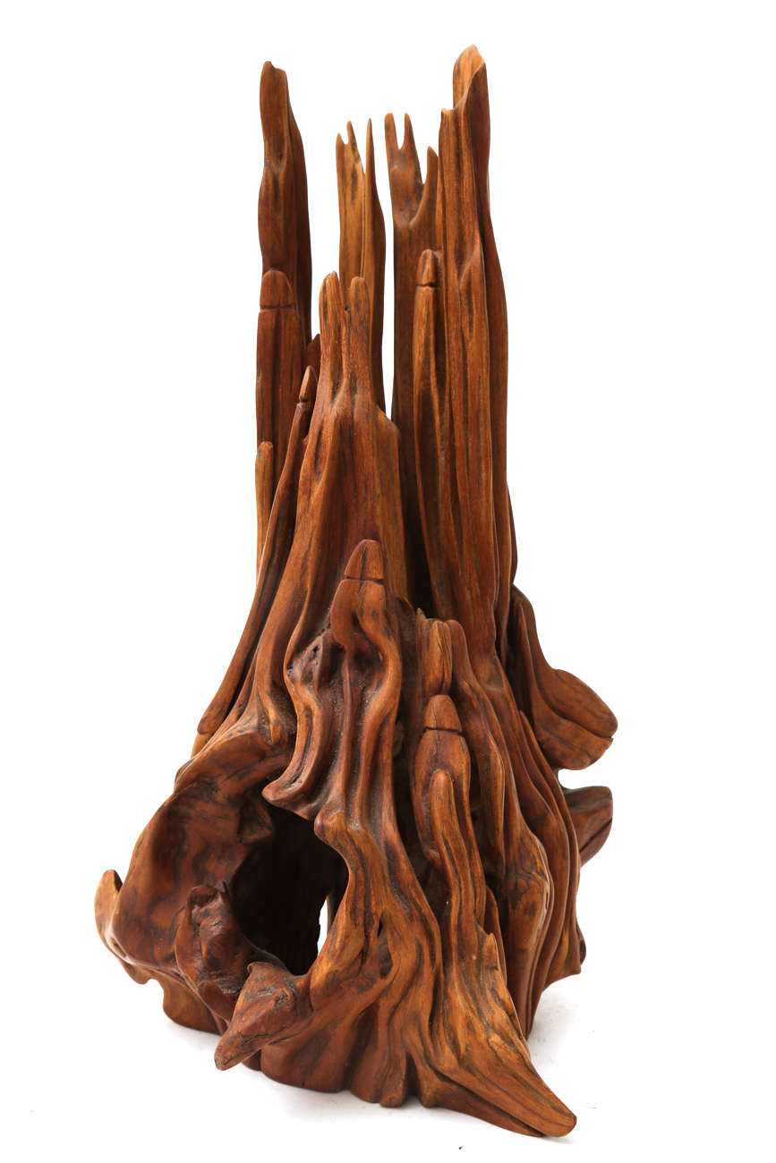Sculpture Wooden Tree Root