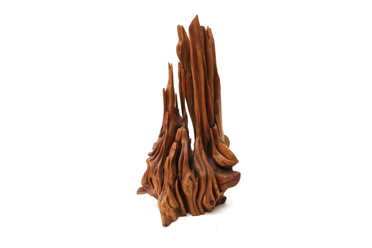 Sculpture Wooden Tree Root