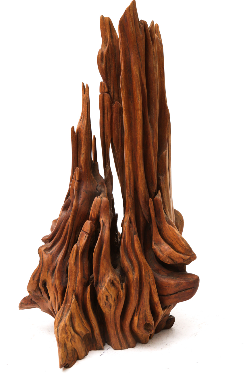Sculpture Wooden Tree Root