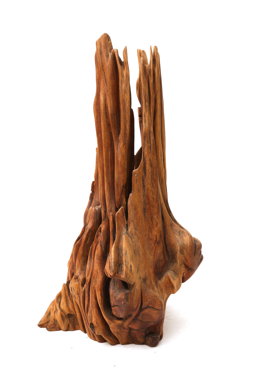 Sculpture Wooden Tree Root