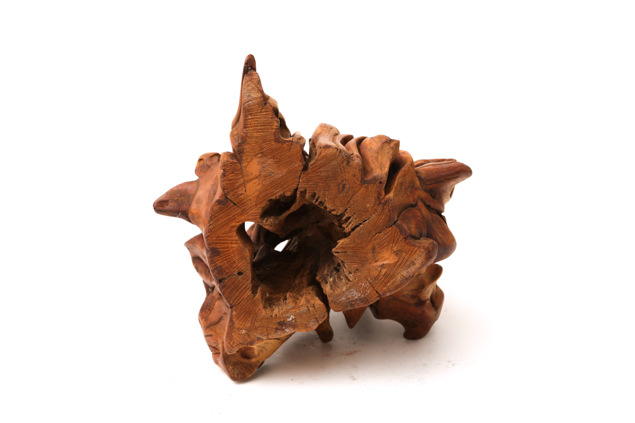 Sculpture Wooden Tree Root