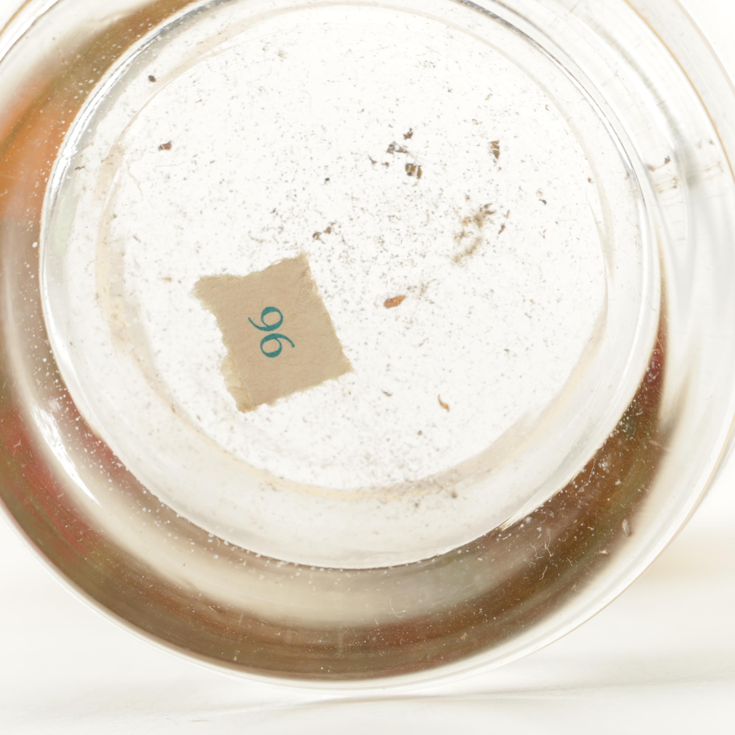 Fruit Motif Glasses and Plates Including Bareuther