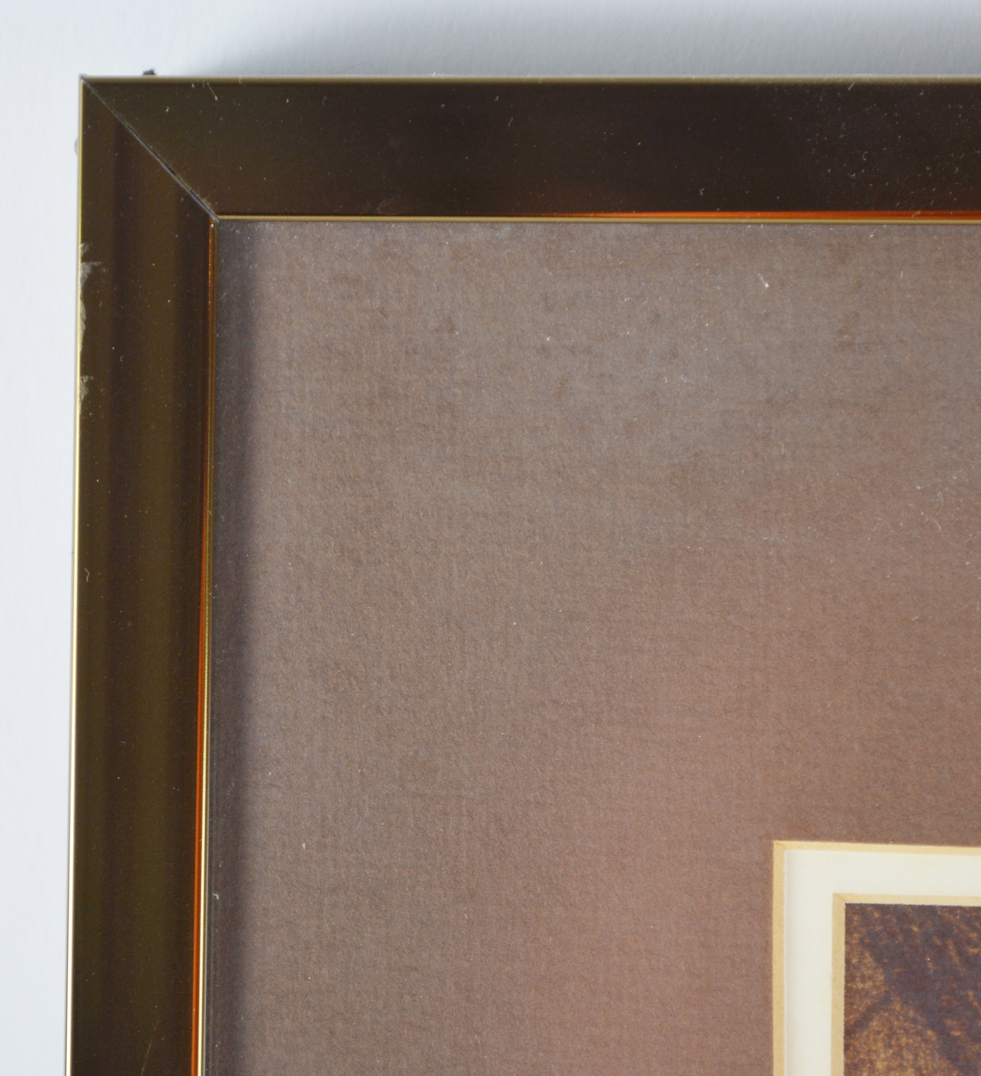 Framed Sepia Tone Lithograph