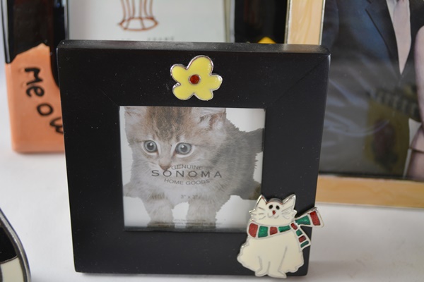 Cat Theme Decor