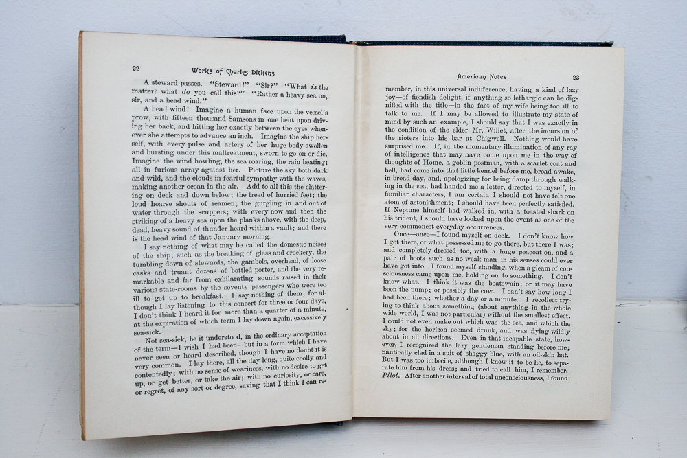 Vintage Poetry and Essay Books