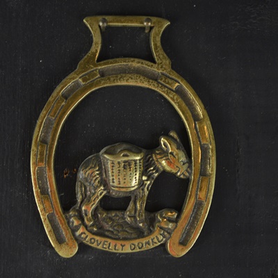 Decorative Brass Harness Ornaments Mounted on Board