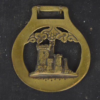 Decorative Brass Harness Ornaments Mounted on Board