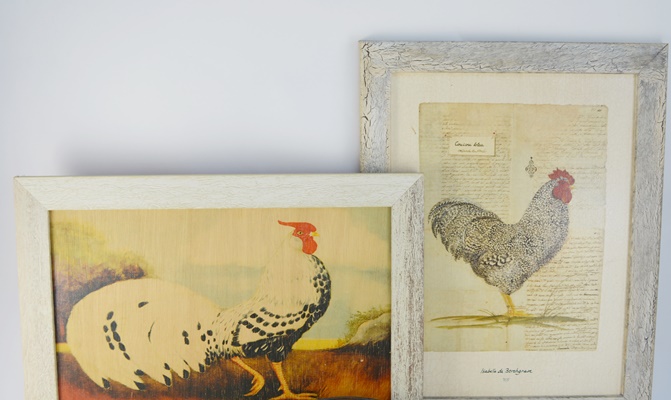 Rooster Decor Collection