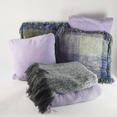 Pottery Barn Throw, Express Throw and Four Pillows