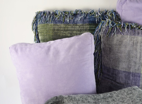 Pottery Barn Throw, Express Throw and Four Pillows