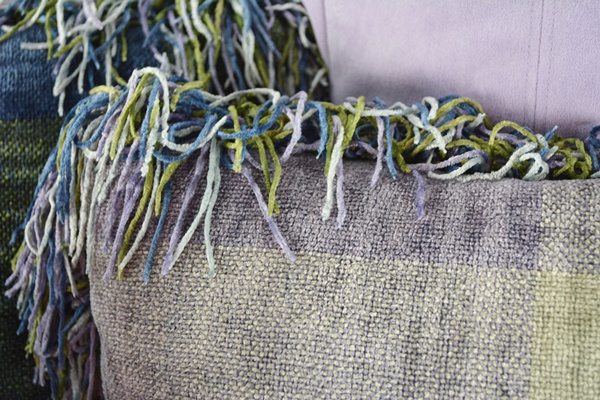 Pottery Barn Throw, Express Throw and Four Pillows