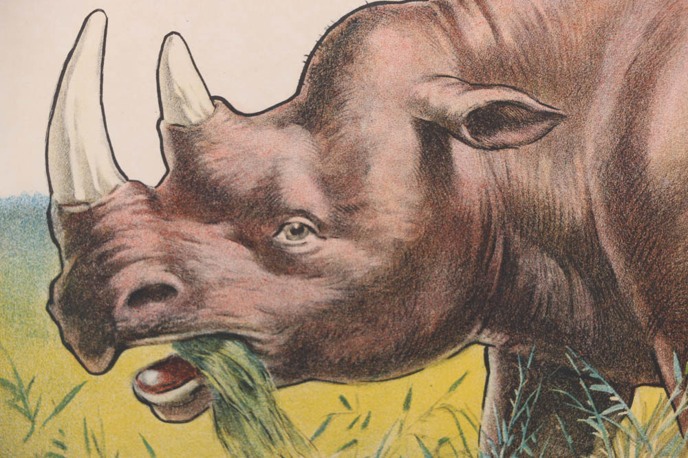 Rare Antique Ringling Bros. Circus Poster Printed by Strobridge