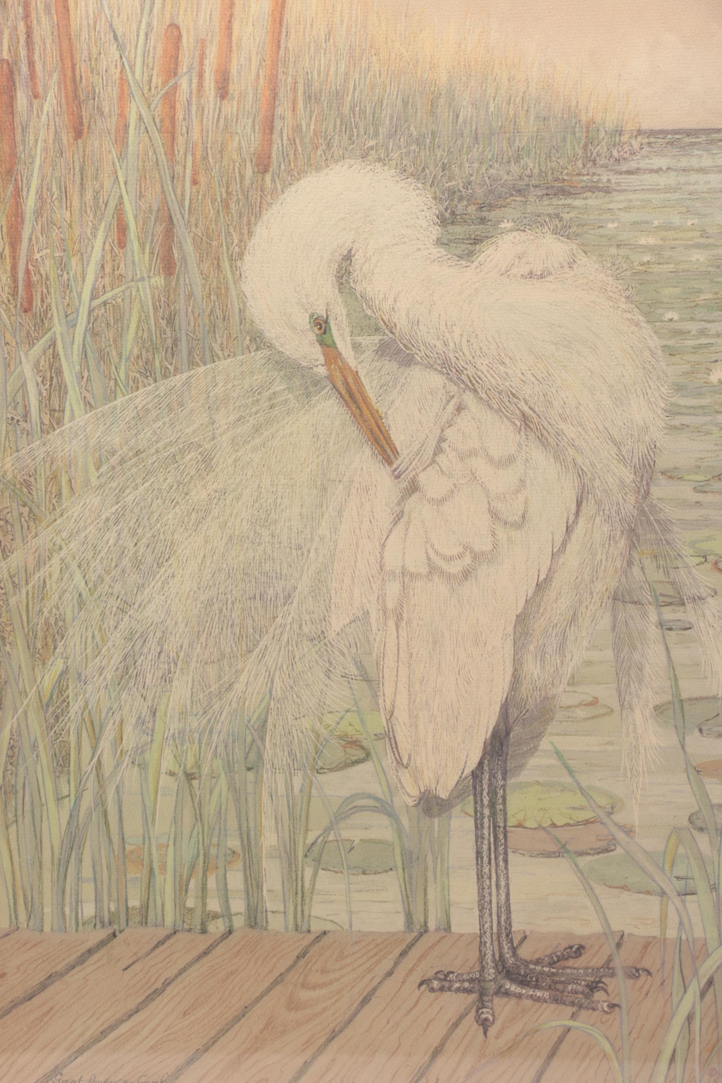 After Drane Christopher Offset Lithographs of Egrets
