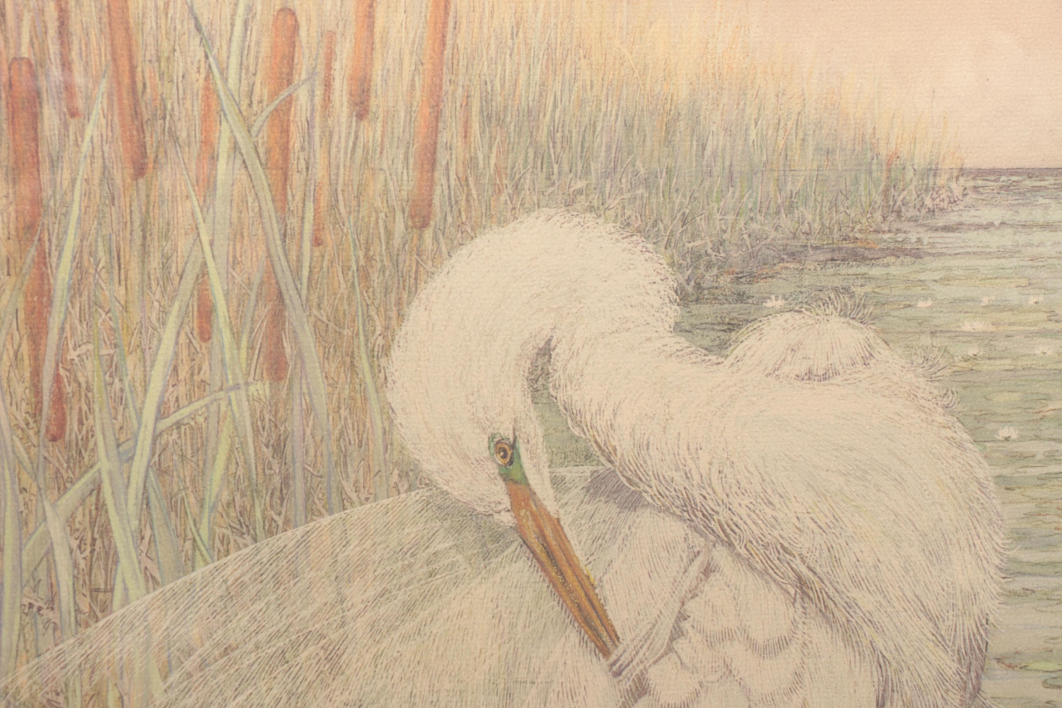 After Drane Christopher Offset Lithographs of Egrets