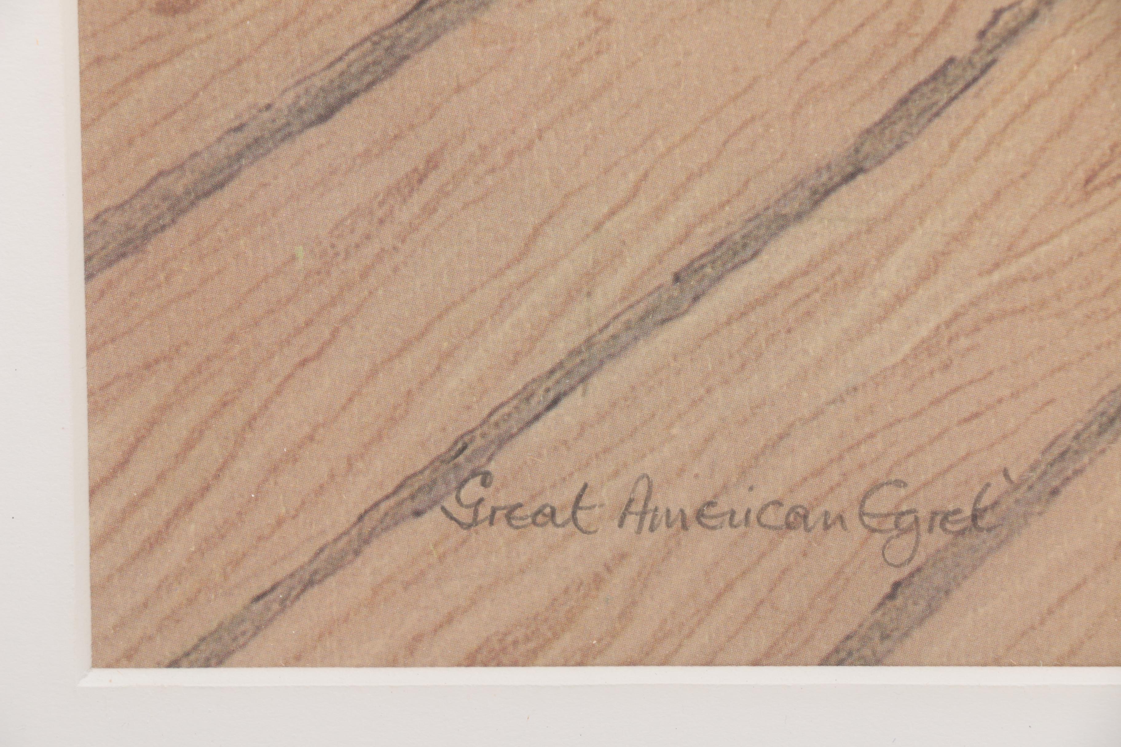 After Drane Christopher Offset Lithographs of Egrets