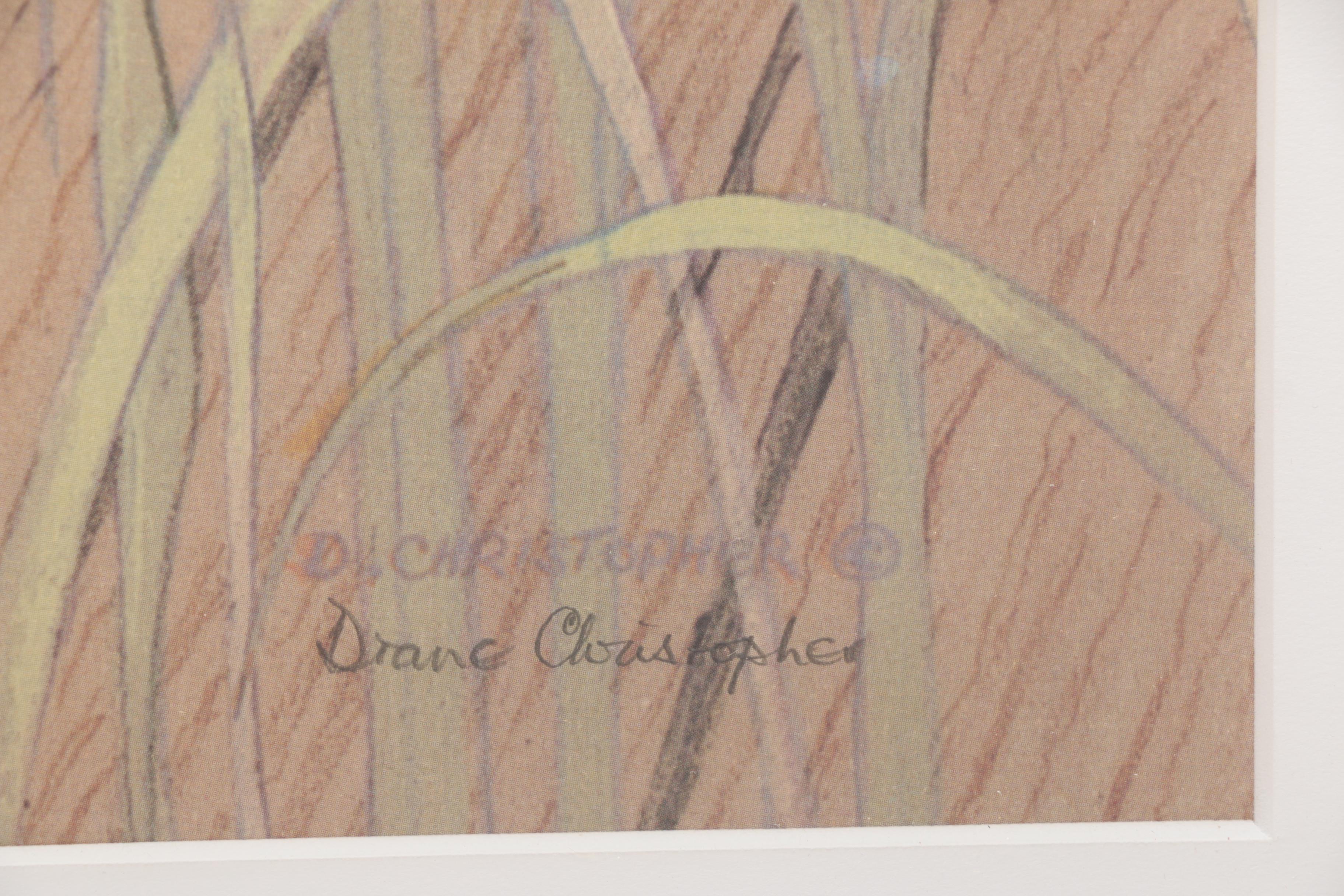 After Drane Christopher Offset Lithographs of Egrets