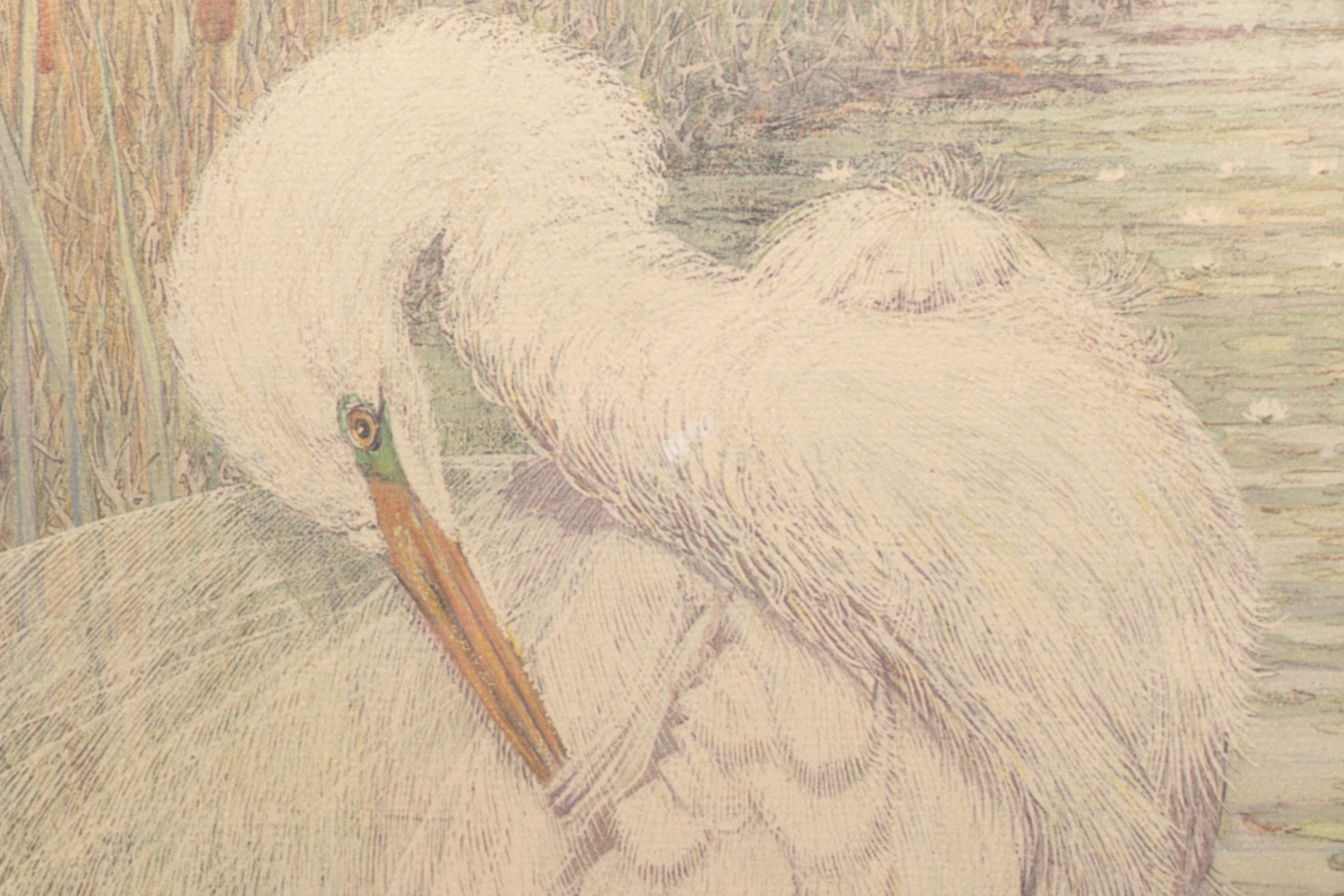 After Drane Christopher Offset Lithographs of Egrets