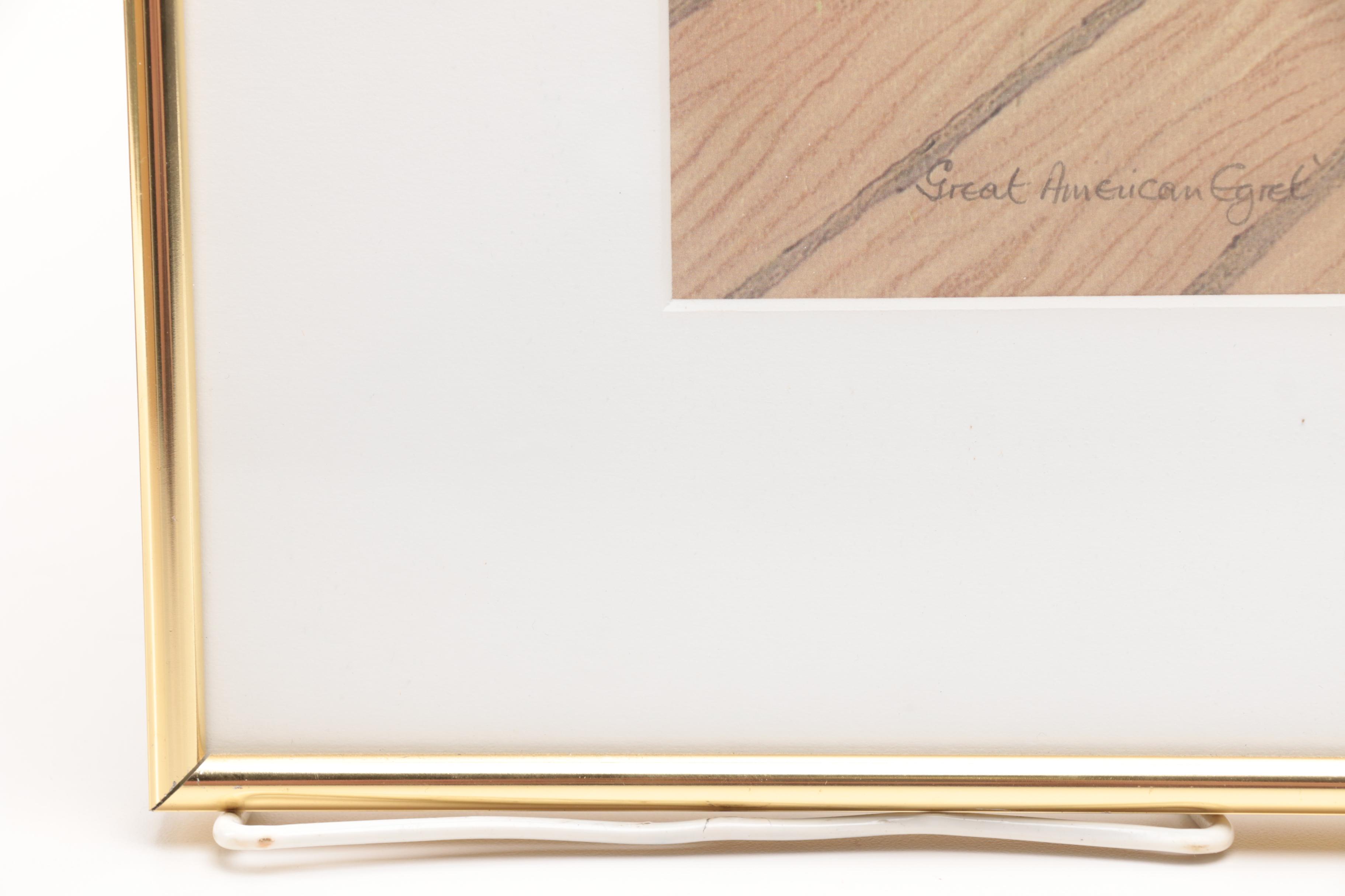 After Drane Christopher Offset Lithographs of Egrets