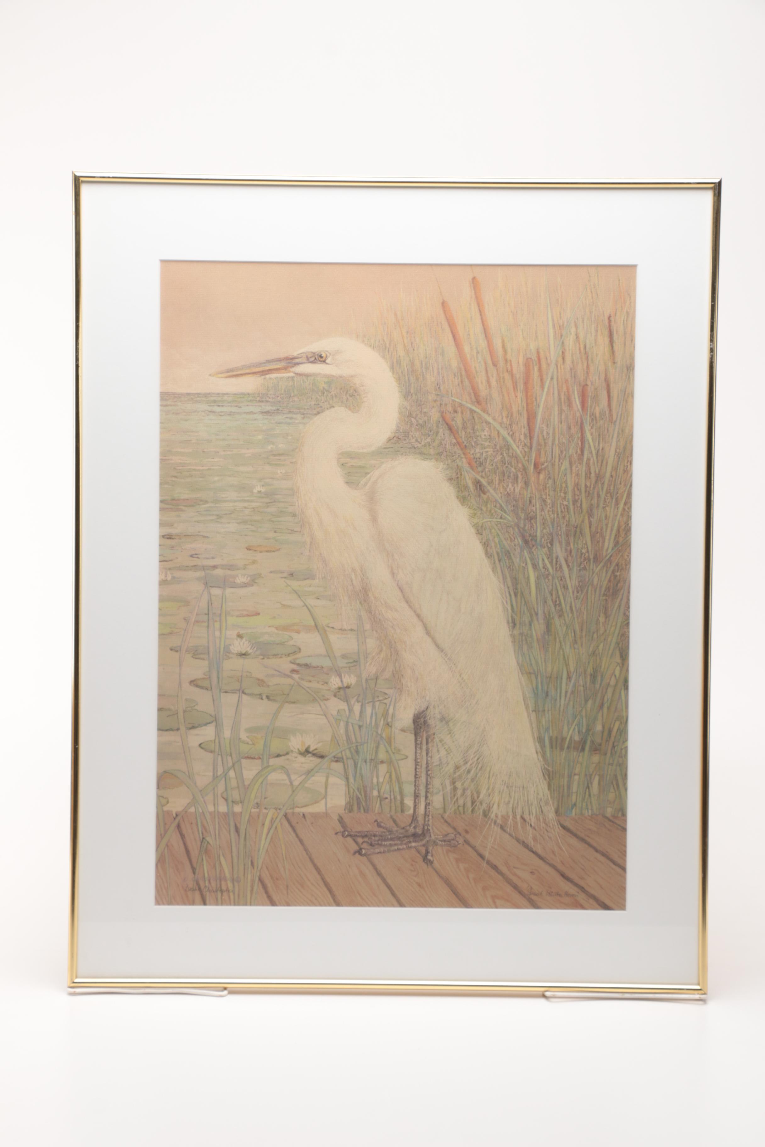 After Drane Christopher Offset Lithographs of Egrets