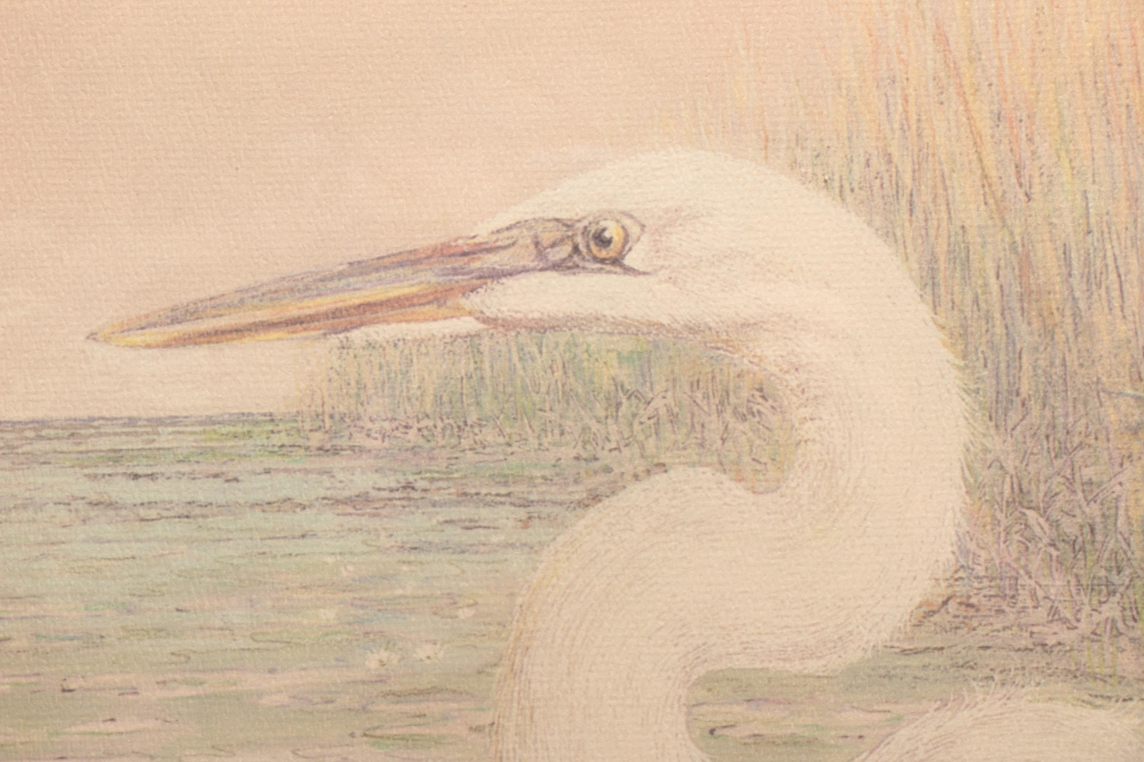 After Drane Christopher Offset Lithographs of Egrets