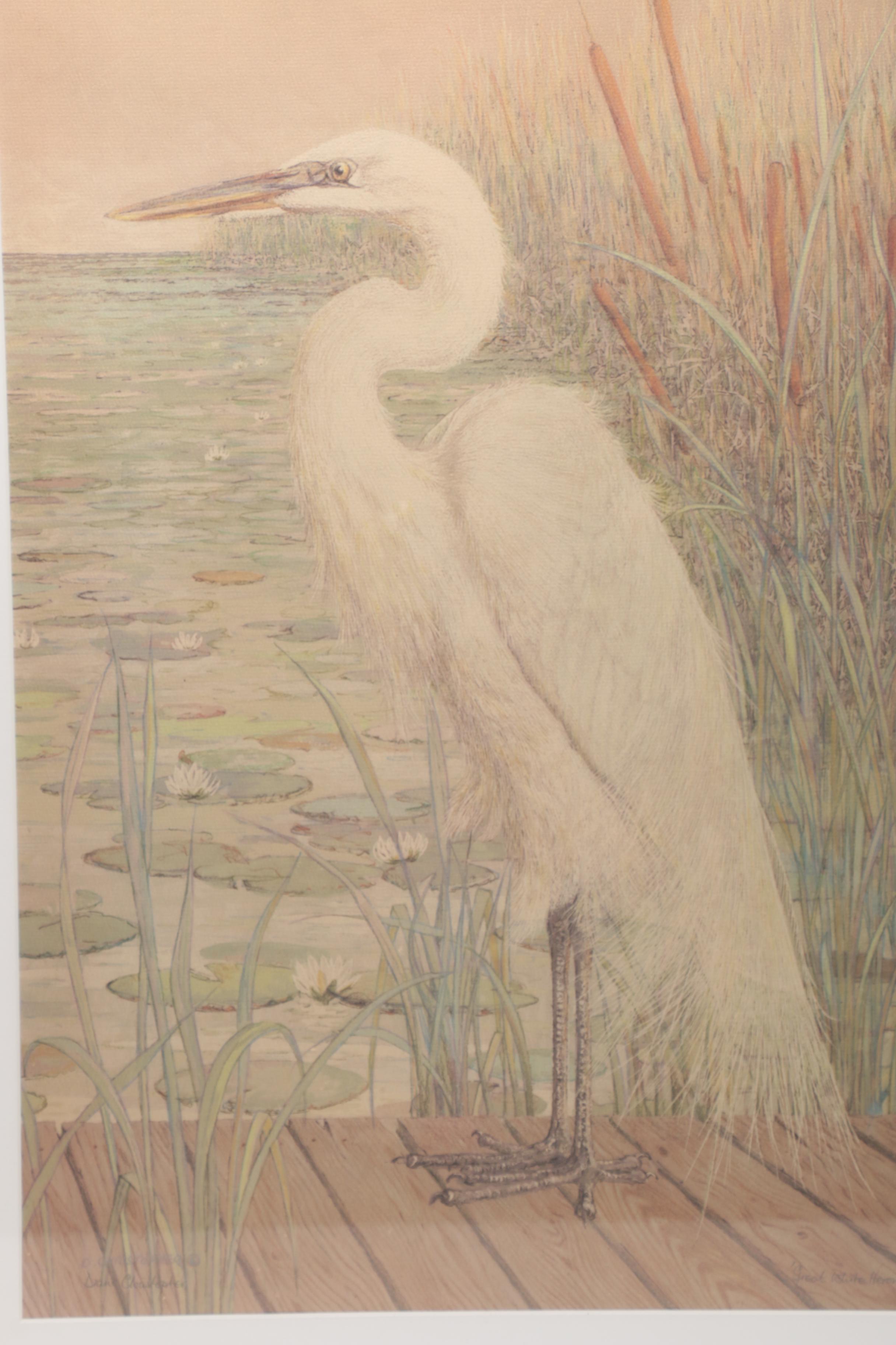 After Drane Christopher Offset Lithographs of Egrets