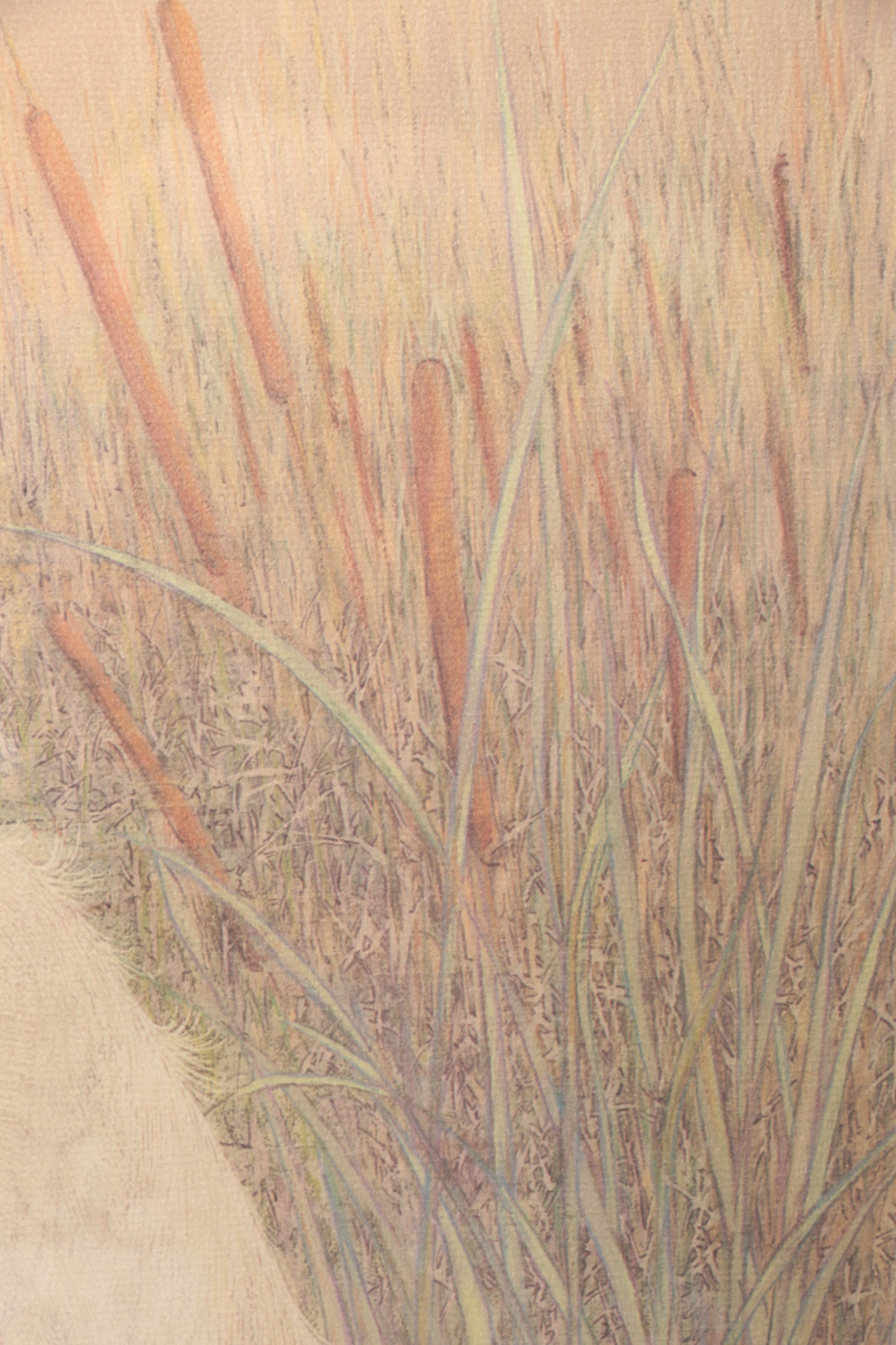 After Drane Christopher Offset Lithographs of Egrets