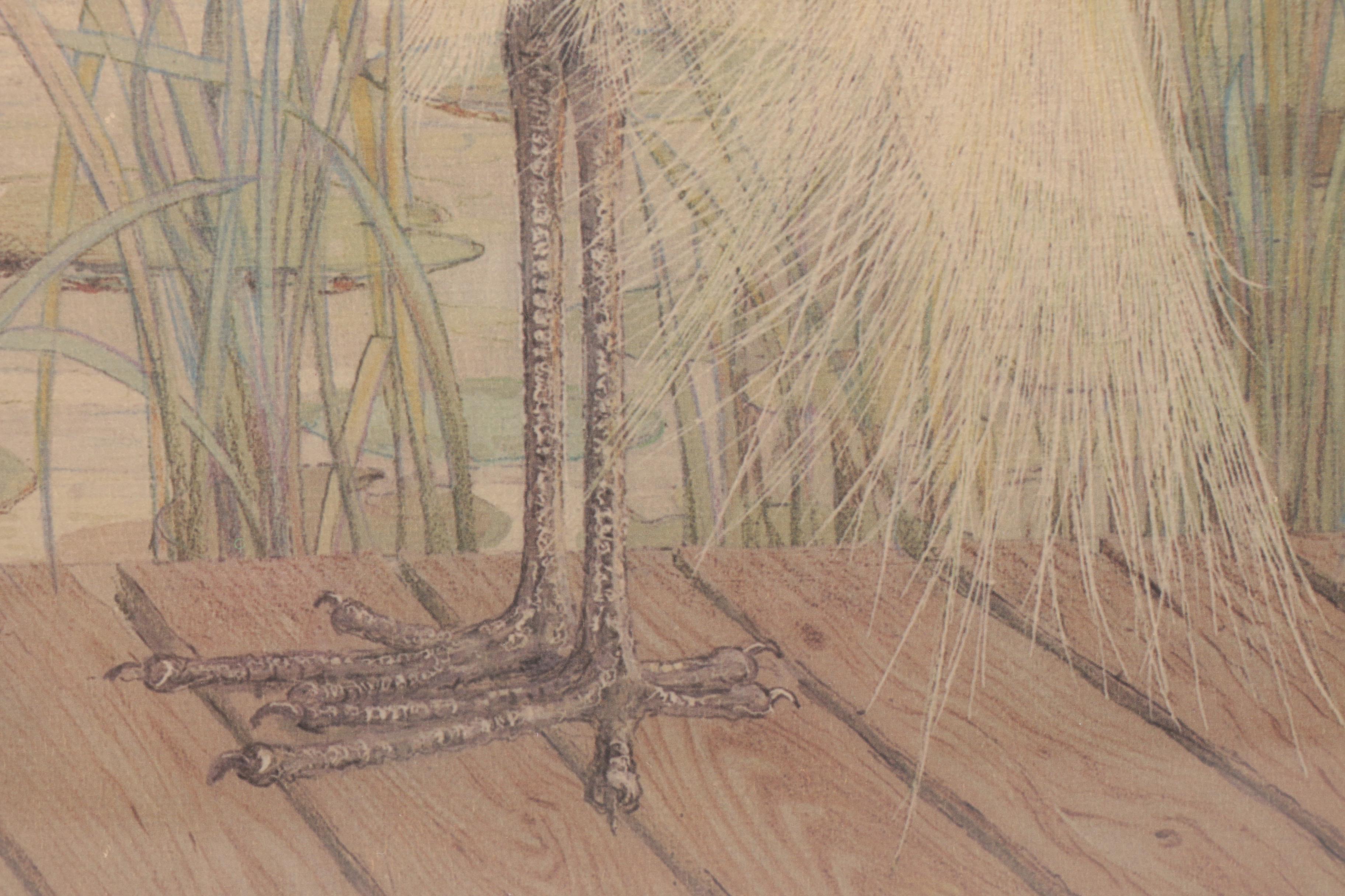 After Drane Christopher Offset Lithographs of Egrets