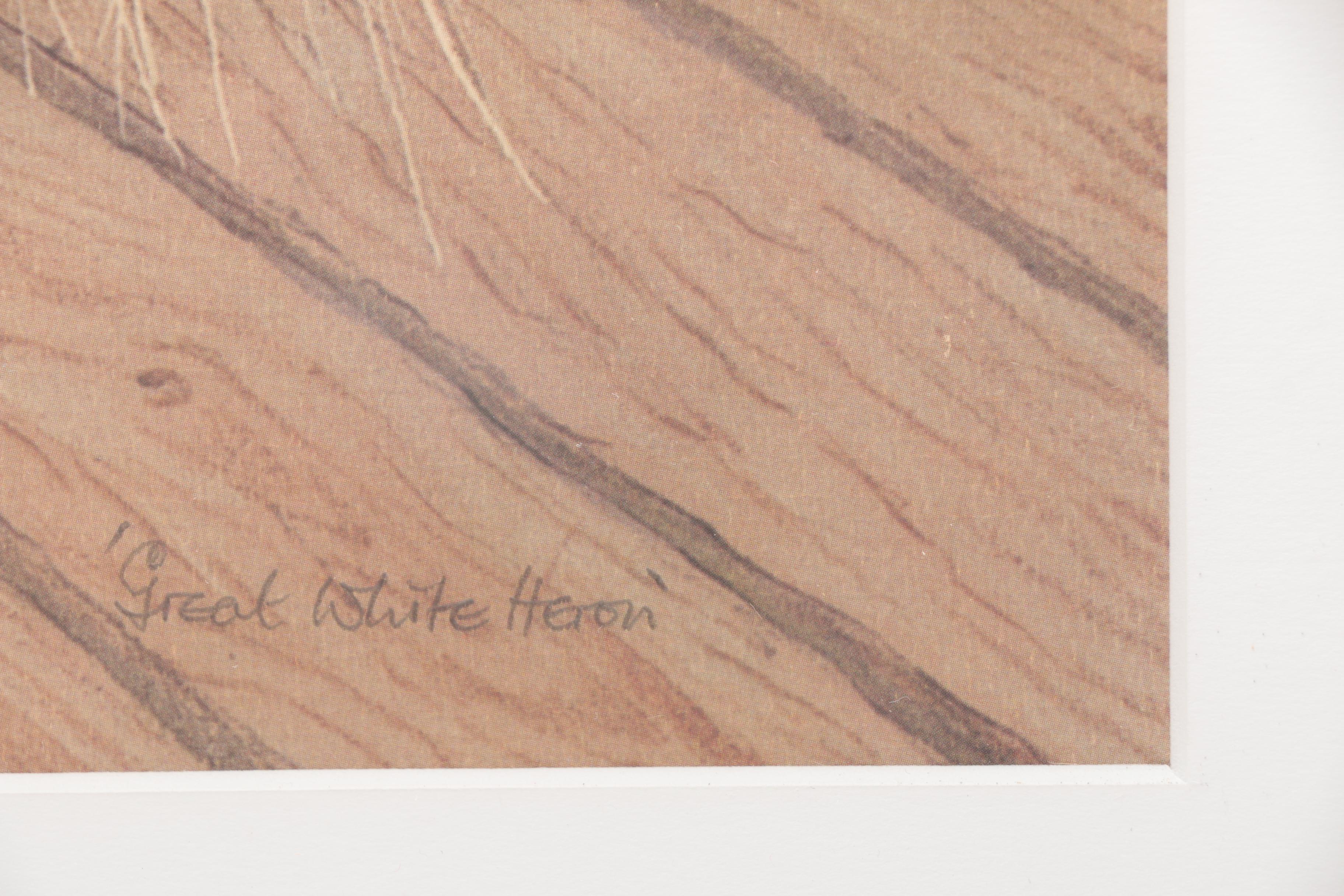 After Drane Christopher Offset Lithographs of Egrets