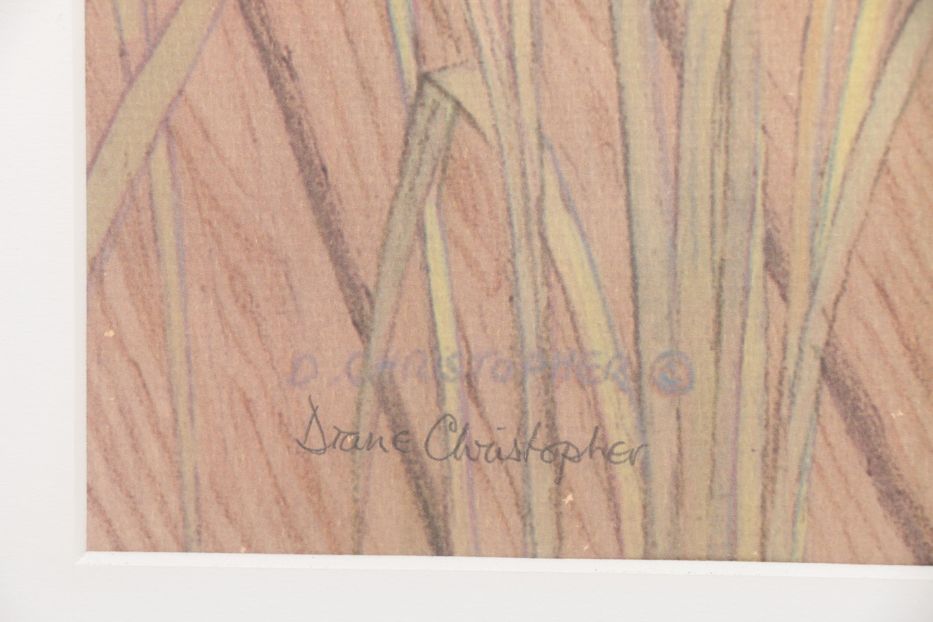 After Drane Christopher Offset Lithographs of Egrets