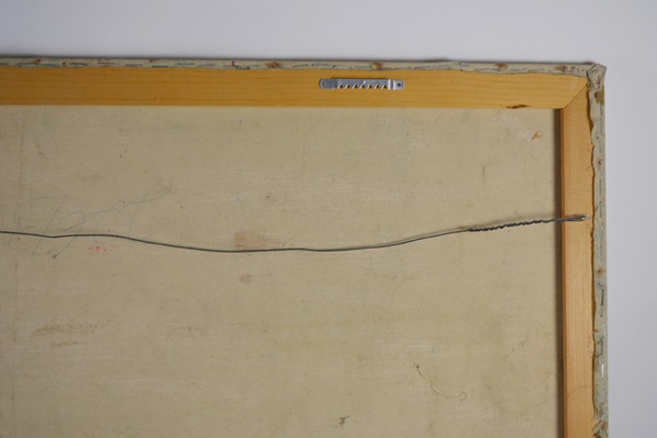 Safari Decor Collection