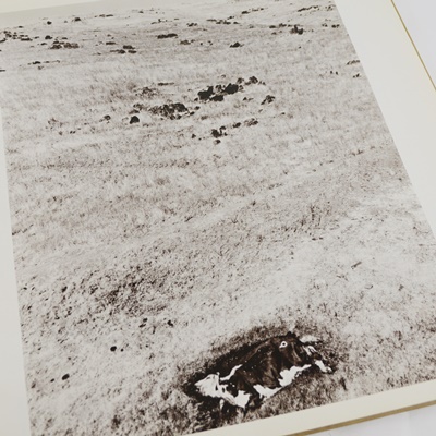 Philip Trager "Echoes of Silence" Hardcover Book