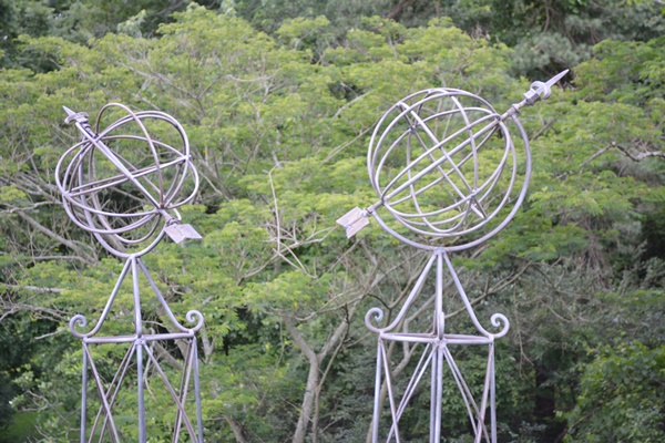 Pair of Garden Topiaries