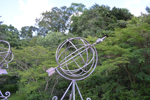 Pair of Garden Topiaries
