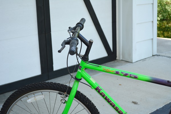 Kawasaki MX 175 Girls Mountain Bicycle