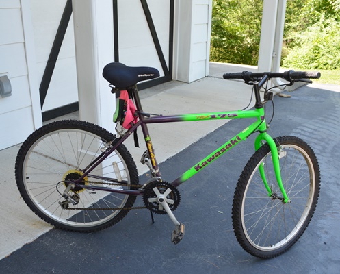 Kawasaki MX 175 Girls Mountain Bicycle