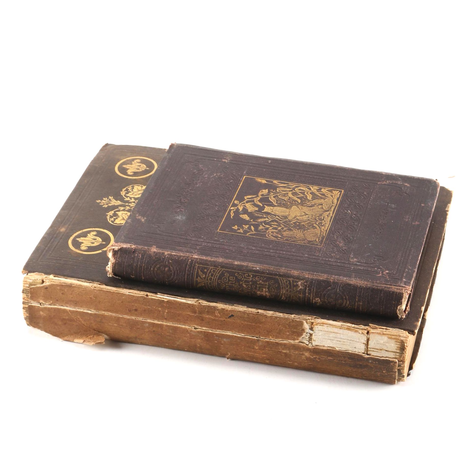 "The Mystic Bell" by J. Edward and "The Evergreen"