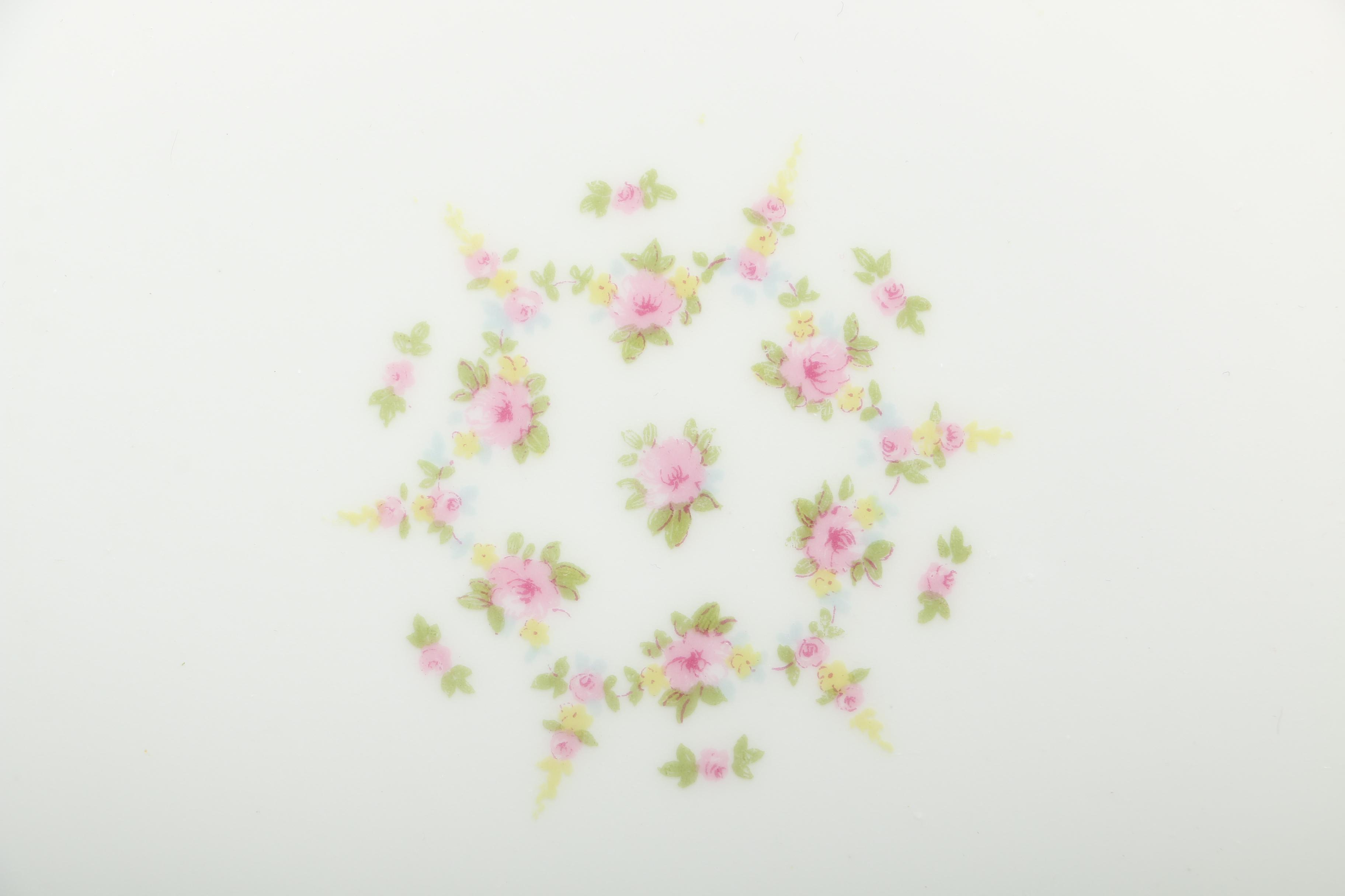 Théodore Haviland Limoges Porcelain Dishes