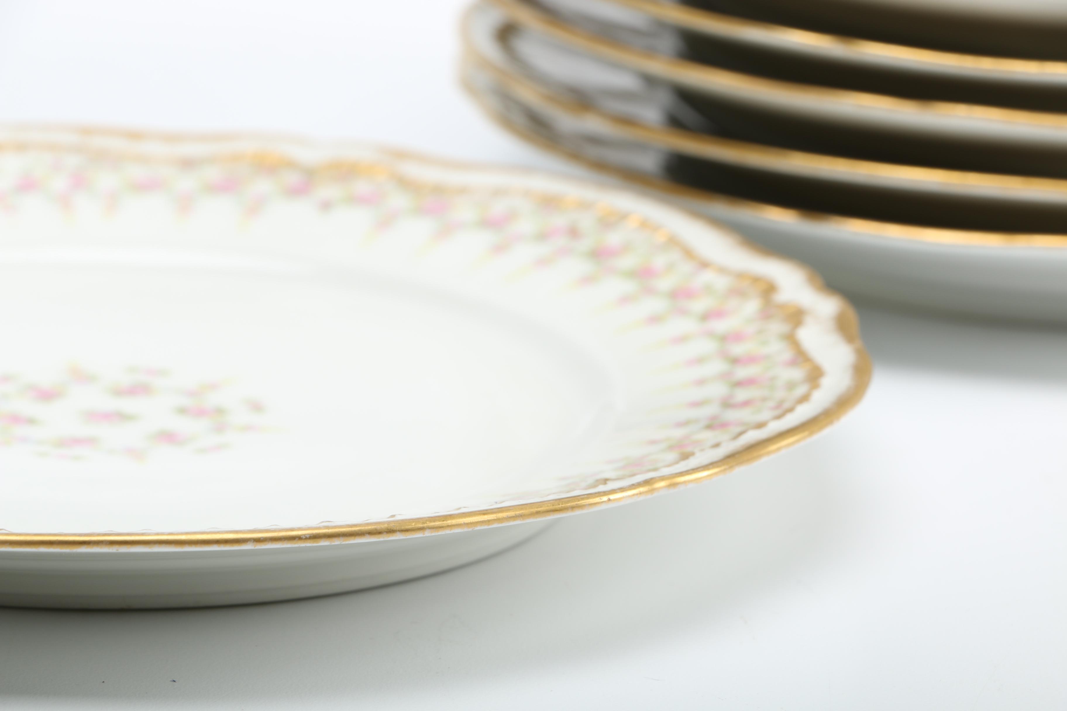 Théodore Haviland Limoges Porcelain Dishes