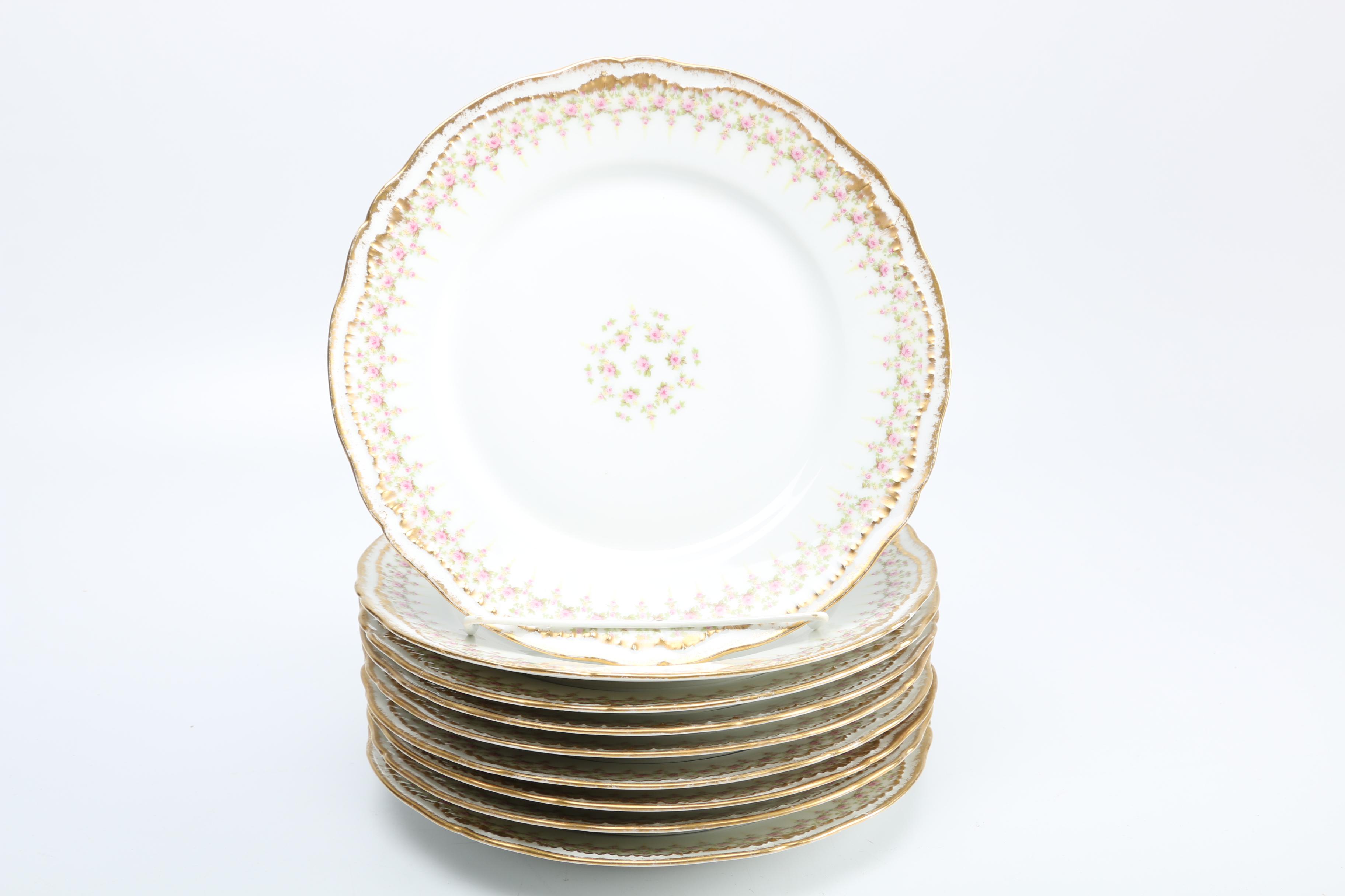 Théodore Haviland Limoges Porcelain Dishes