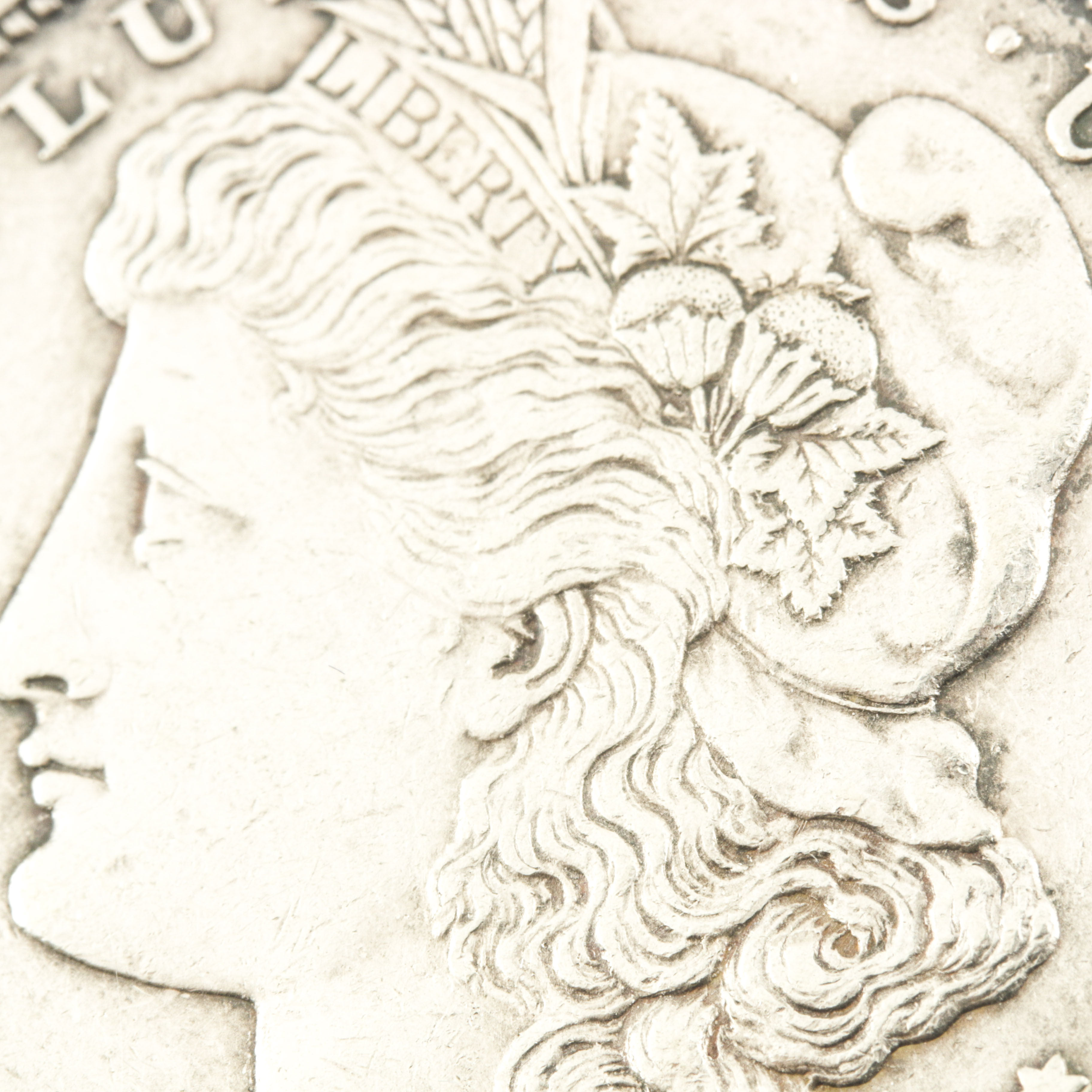 Set of Two Morgan Silver Dollars