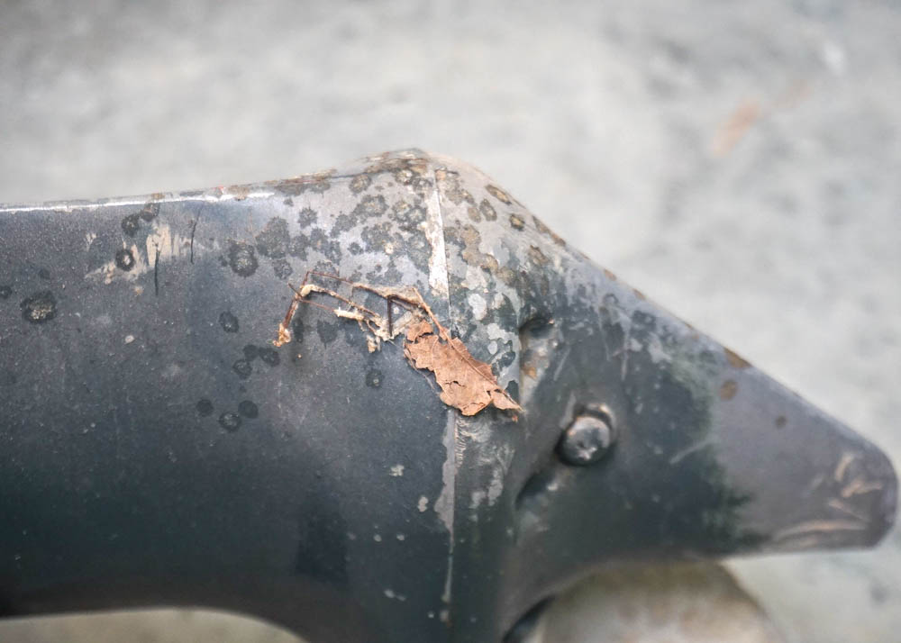 Johnson Outboard Boat Motor