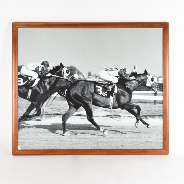 Black and White Photograph of Kauai King in Horse Race, Circa 1966