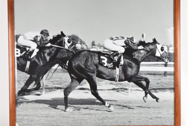 Black and White Photograph of Kauai King in Horse Race, Circa 1966