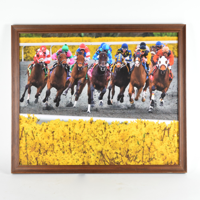 Color Photograph of "Keeneland Spring Meet 2004" by Ray Graff