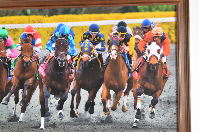 Color Photograph of "Keeneland Spring Meet 2004" by Ray Graff