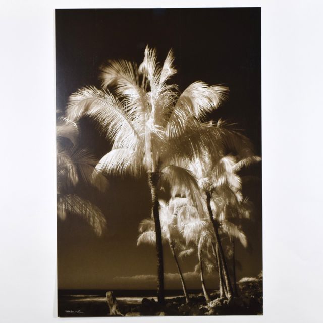 Offset Lithograph of a Sepia Toned Photograph of Palm Trees