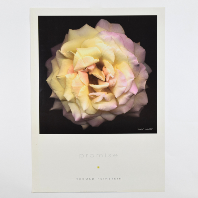 Poster Print of "Promise" Photograph by Harold Feinstein